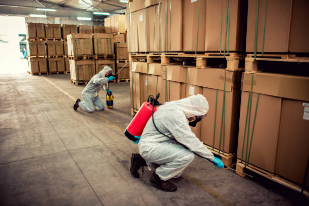 Best Ant Control Services  in Fullerton, NE