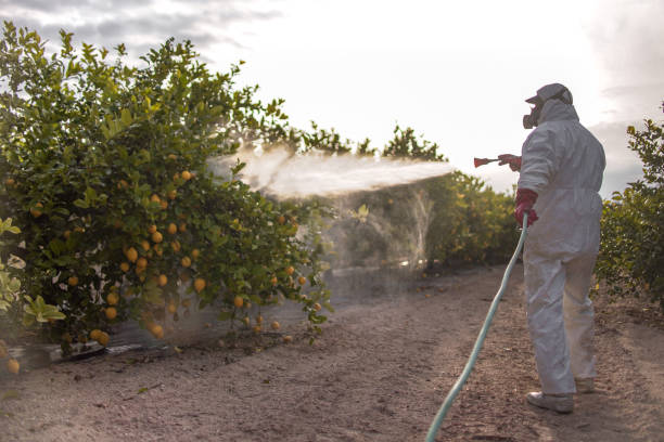 Reliable Fullerton, NE Pest Control Solutions