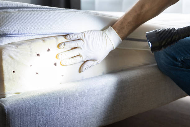Best Pest Removal Services  in Fullerton, NE