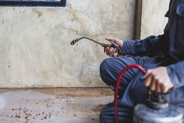 Best Mosquito Control Services  in Fullerton, NE